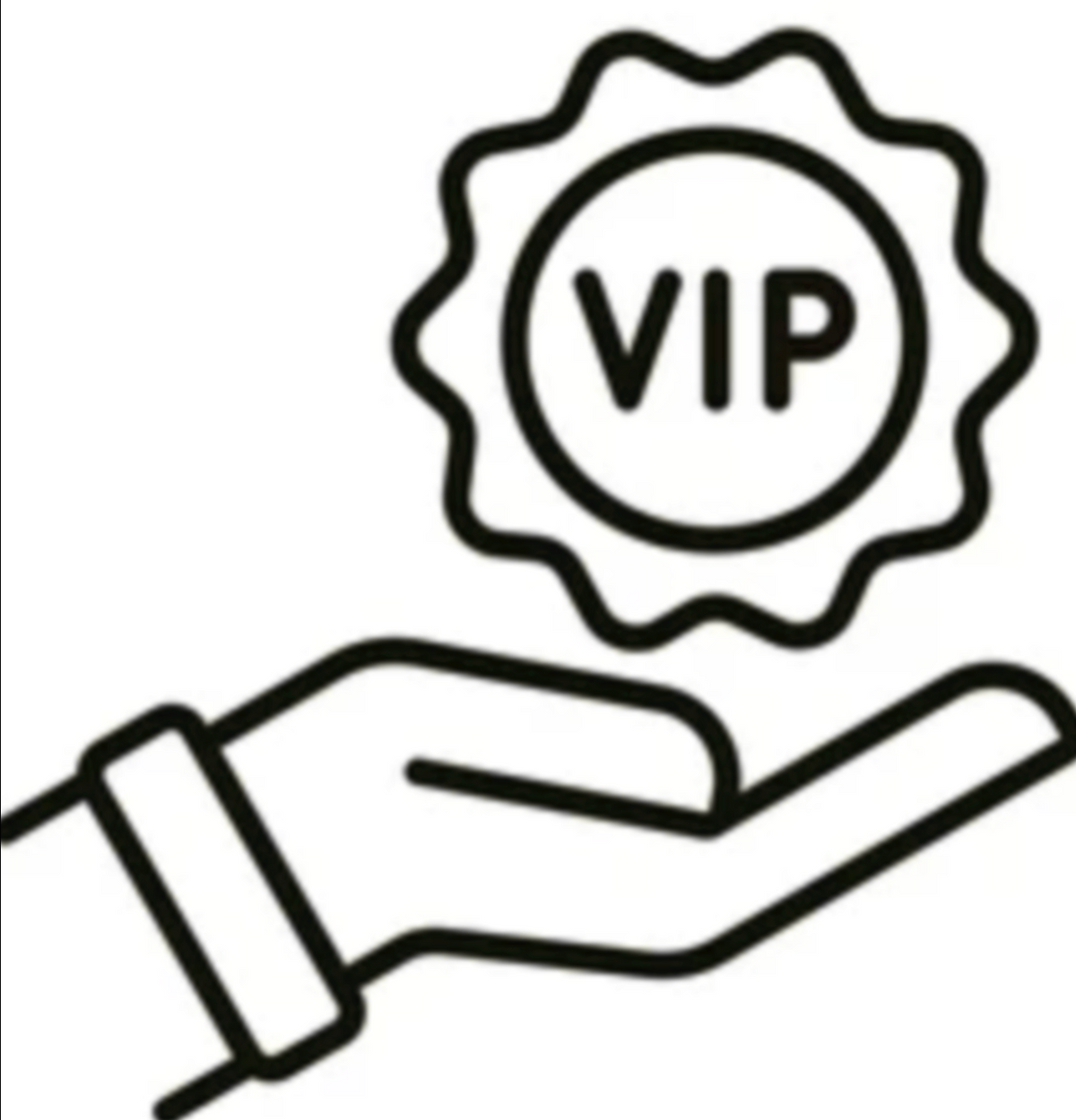 V.i.P Support